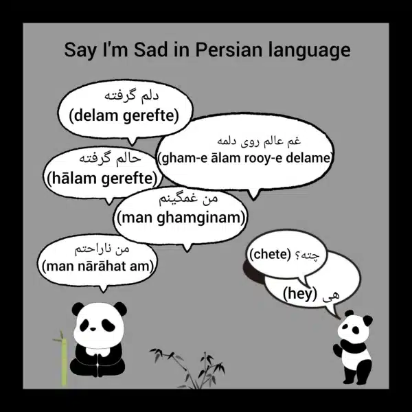 I'm Sad in Persian