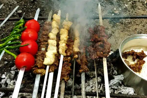 Kabab Chenjeh