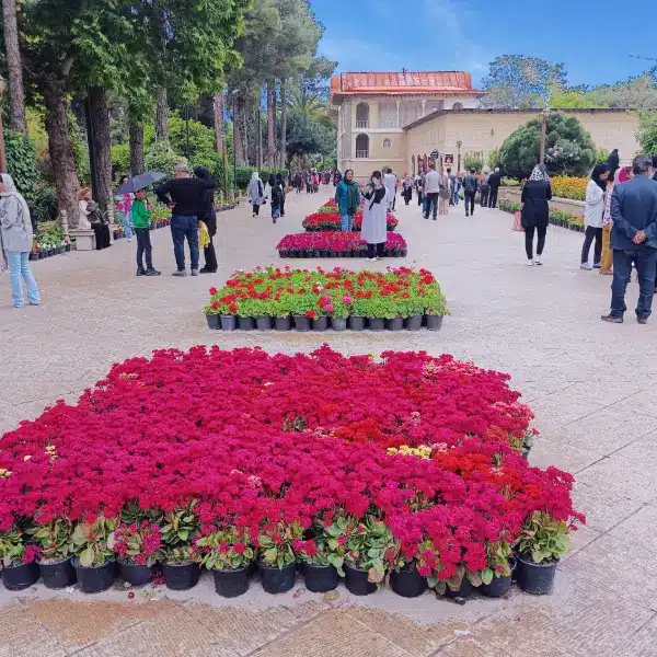 Garden in Shiraz