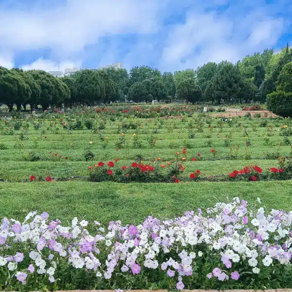 Jahan Nama Garden