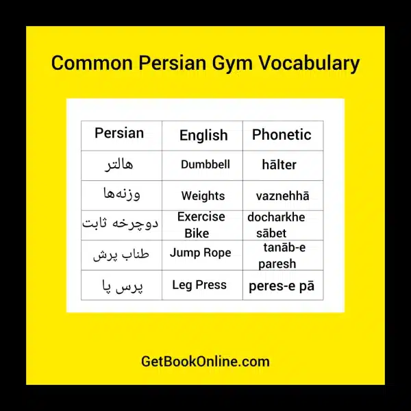 Common Gym Vocabulary