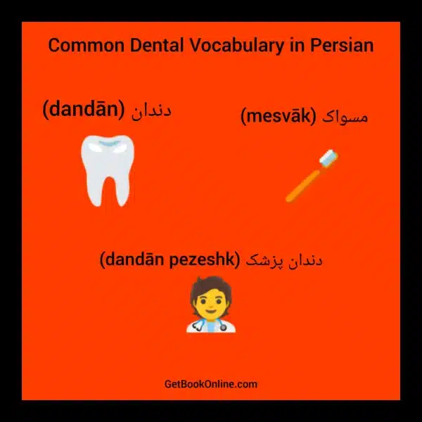 Dental Vocabulary in Persian Language